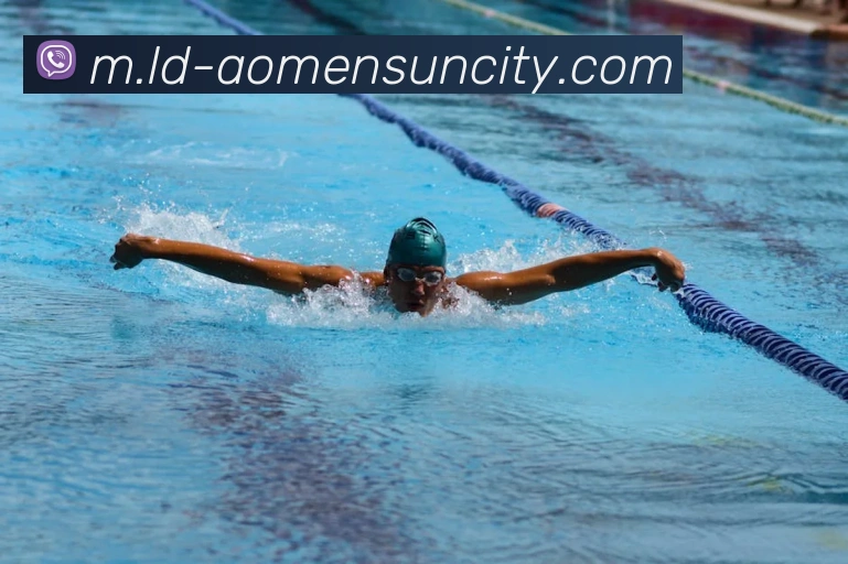 太阳城网站全站App